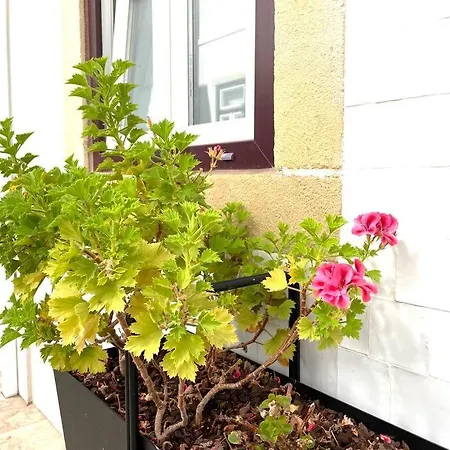 公寓 Rosario 2 By Homeful Homes *